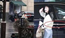 周洁琼王思聪爆料视频,揭秘娱乐圈幕后真相